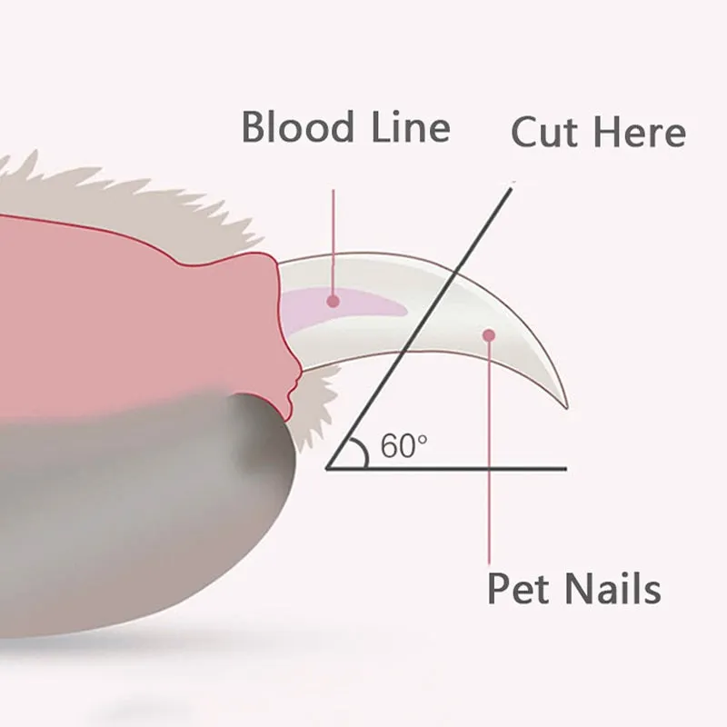 PetGlow Trimmer: Illuminated pet nail clipper