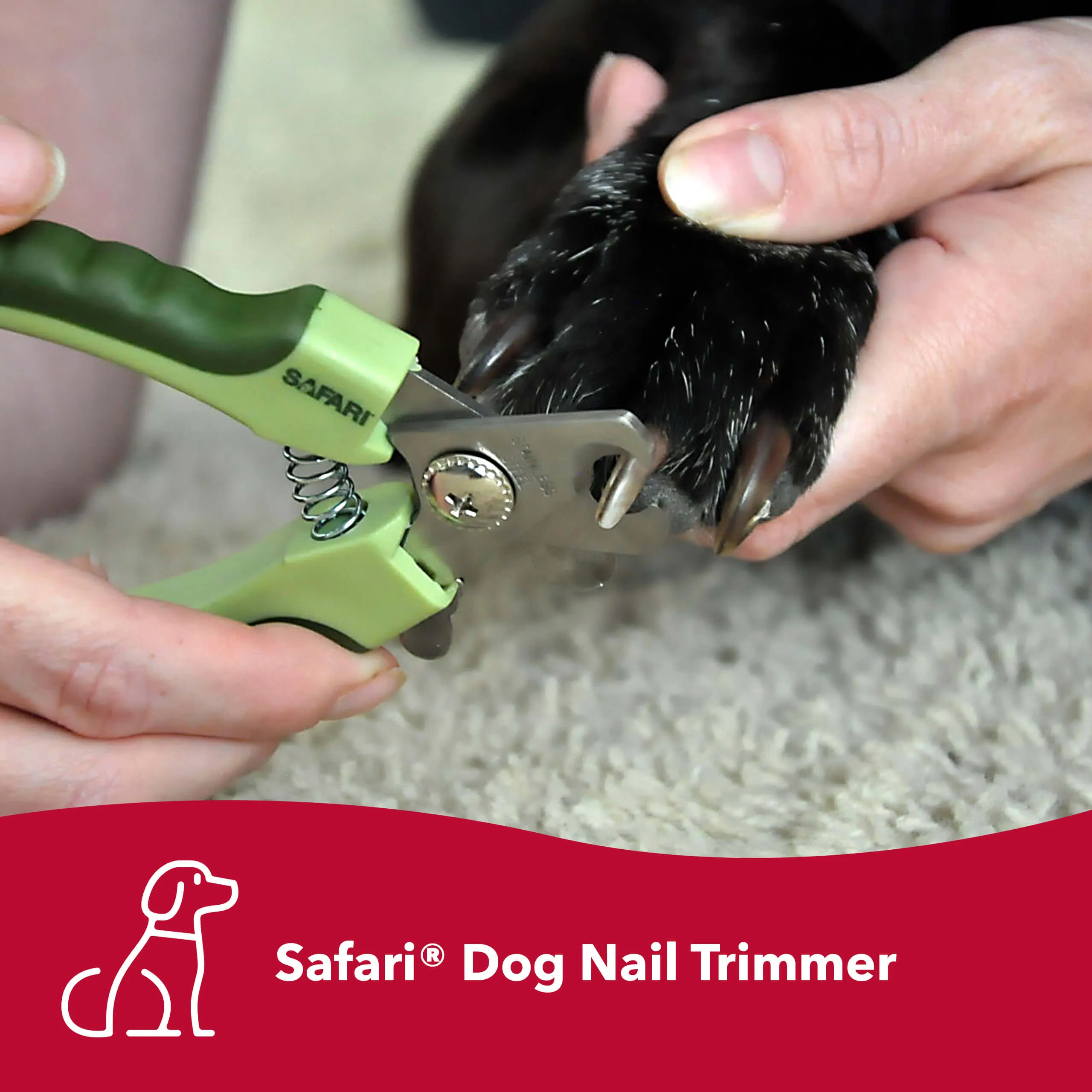 Safari Nail Trimmers by Coastal